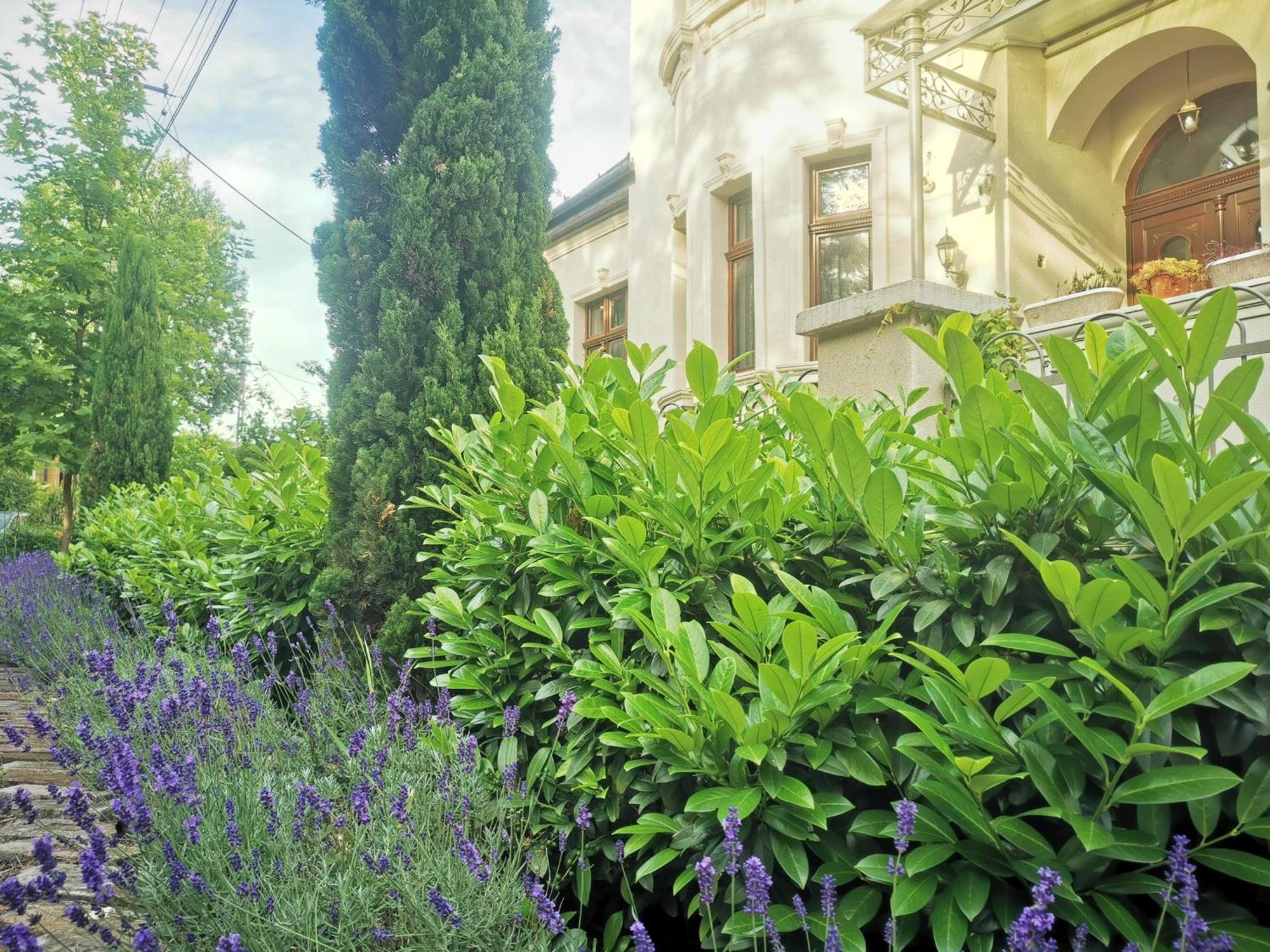 Kuria Apartman Budapest With Free Parking Exterior photo